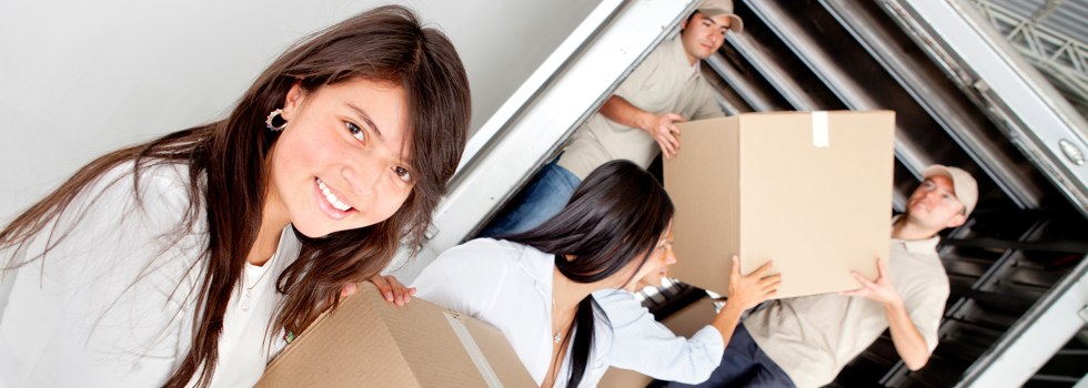 Professional Removalists Willowie